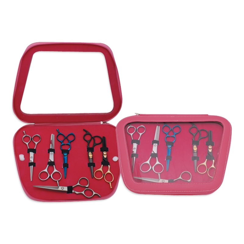 Hair Cutting Scissors Kit